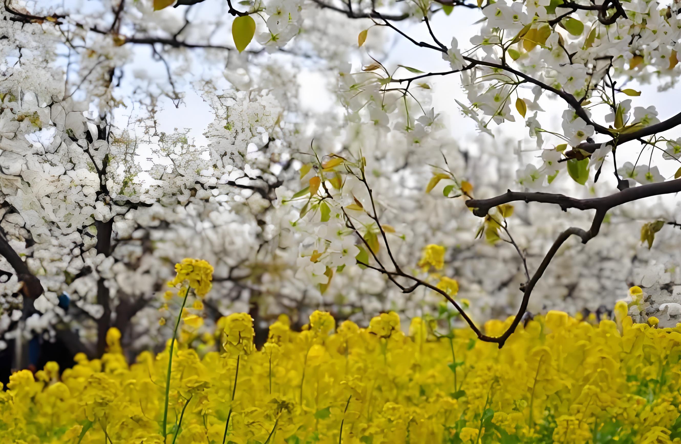 Resumption of work after the Qingming Festival Holiday: Reflection and Moving Forward